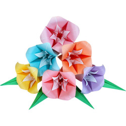 set de 50 feuilles de papier japonais fleurs origami, ORIZURU