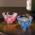 Servicio de sake de vidrio japonés 2 vasos y 1 botella SAKURA FUBUKI
