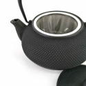 Japanese teapot cast iron, IWACHU ARARE, black