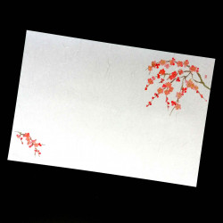 10 mulberry paper placemats - UME