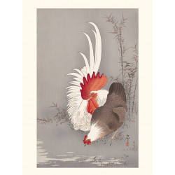 Impresión japonesa, Gallo y gallina domésticos, Ohara Koson