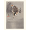 Japanese print, Domestic rooster and hen, Ohara Koson
