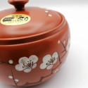 Japanese teapot tokoname kyusu, AKA SAKURA, red and cherry blossoms