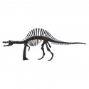 Maquette Spinosaures Noir en carton, SUPINOSAURUSU