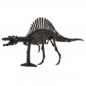 Maquette Spinosaures Noir en carton, SUPINOSAURUSU