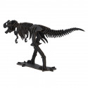 Maquette Tyrannosaure Noir en carton, TIRANOSAURUSU
