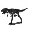Modello di Tirannosauro in cartone nero, TIRANOSAURUSU