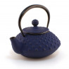 Japanese blue cast iron teapot. Iwachu. Kambin 0.3 lt