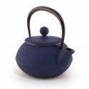 Japanese blue cast iron teapot. Iwachu Arare 0.3 lt