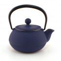 Japanese blue cast iron teapot. Iwachu Arare 0.3 lt