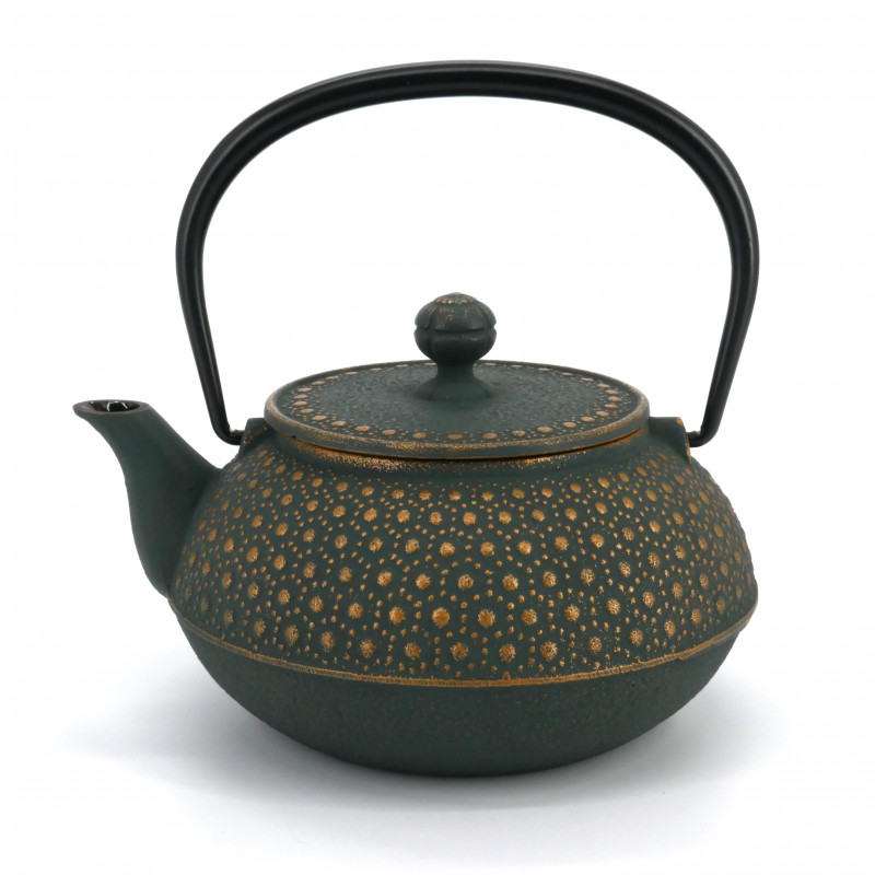 Japanese bronze cast iron teapot IWACHU, KIKKO, 0.8lt