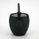 Small round Japanese prestige cast iron teapot, CHÛSHIN KÔBÔ MARUTSUTU, KAMON, 0.4 L