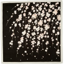 Furoshiki en coton japonais noir branches de cerisiers, SAKURA, 50 x 50 cm