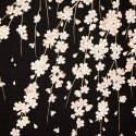 Furoshiki in Kirschzweigen aus schwarzer japanischer Baumwolle, SAKURA, 50 x 50 cm