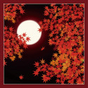 Japanese cotton furoshiki red maple leaves, KAEDE, 50 x 50 cm
